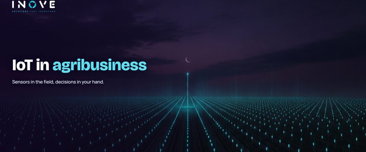 How IoT can impact agribusiness