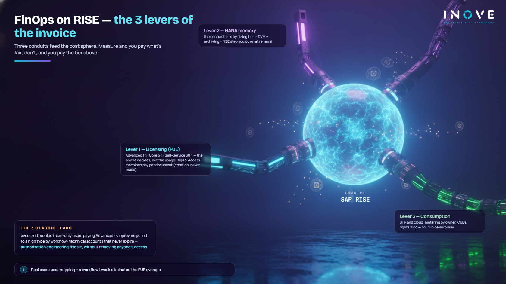 Infographic: the 3 levers of FinOps for SAP RISE — FUE, Digital Access, memory, and consumption